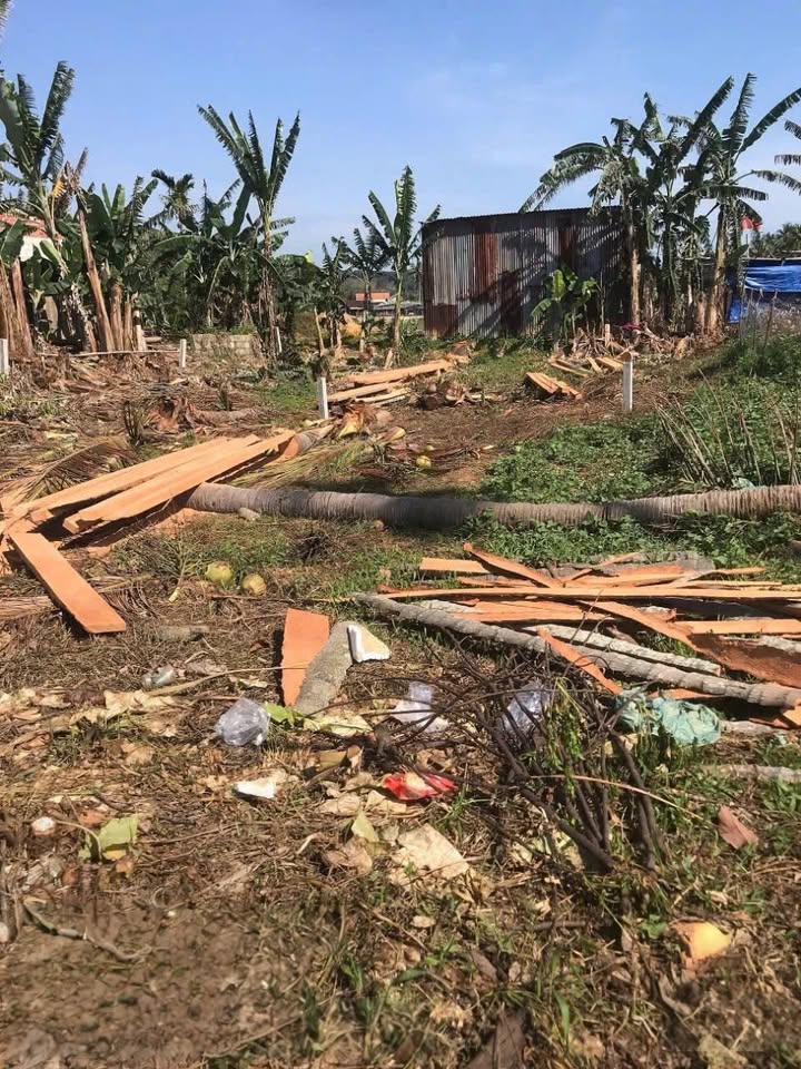 Đất nền Hoài Mỹ 125m² giá chỉ 2xx triệu - Cơ hội đầu tư hấp dẫn!