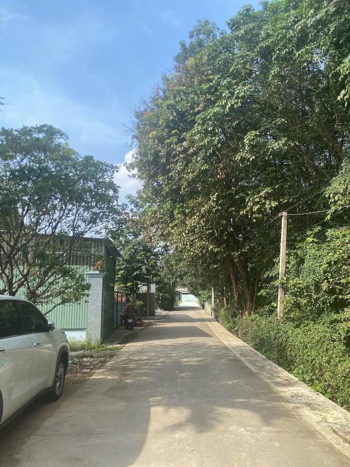 Nhà vườn Hiệp An 598m² giá 3 tỷ - Đường bê tông thông thoáng!