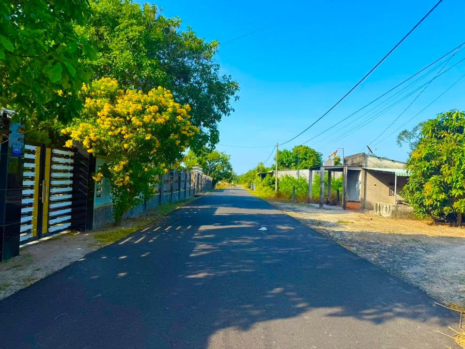 Đất Bông Trang - Xuyên Mộc 232m² giá 1.5 tỷ - Đầu tư sinh lời ngay!