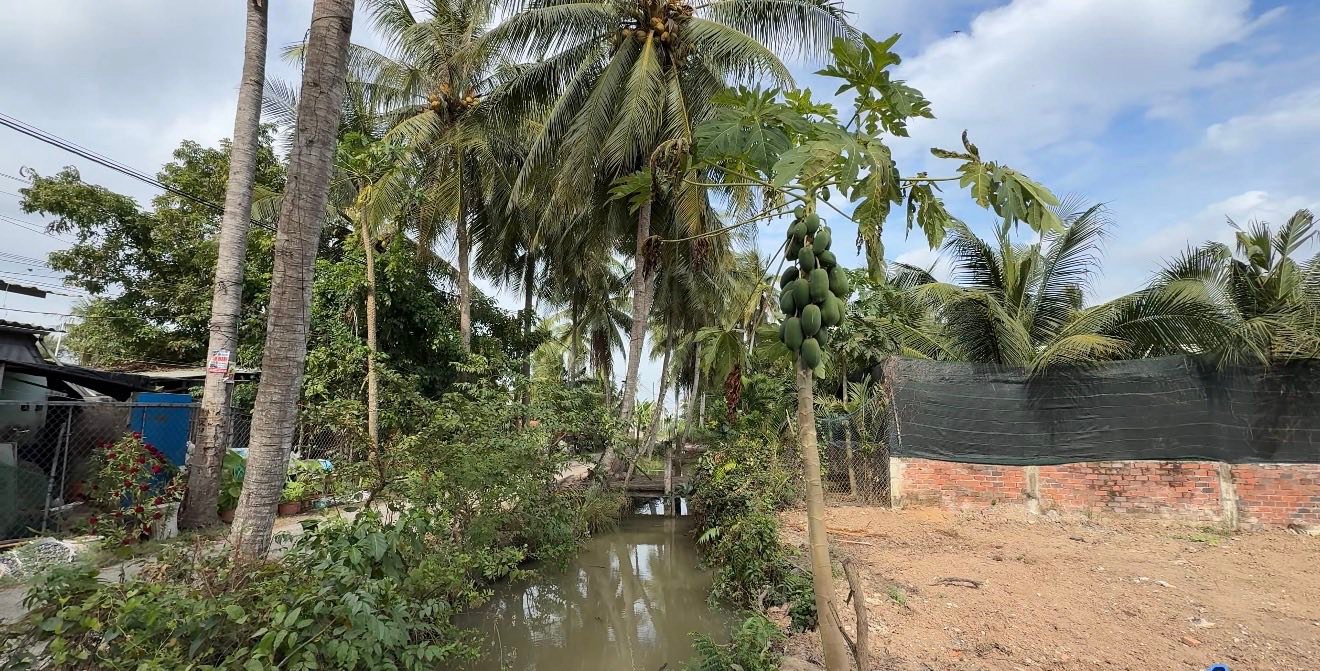 Đất vườn 1.800m² xã Long Bình Gò Công Tây giá chỉ 1.15 tỷ - Cơ hội đầu tư tuyệt vời!