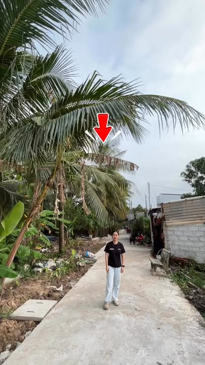 Đất nền hẻm 59 Trương Định, An Bình 100m² giá chỉ 550 triệu - Đầu tư sinh lời tốt!