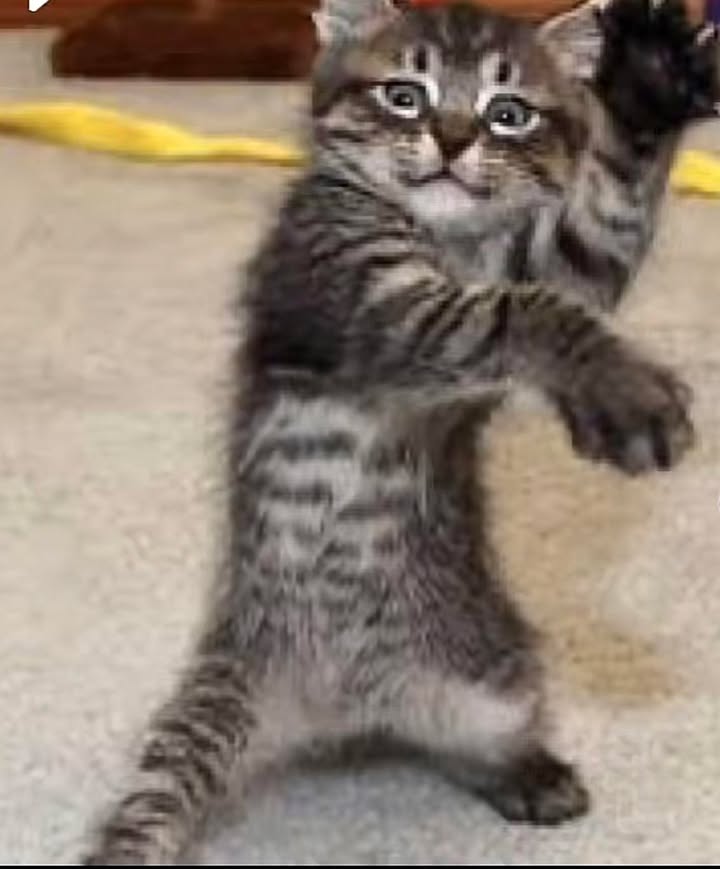 Bán đất vàng Mễ Trì 99m² giá 20 tỷ - Cơ hội đầu tư không thể bỏ lỡ!