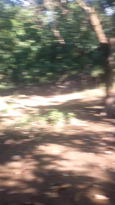 Đất vườn 3240m² tại Phường Cao Lãnh, Đồng Tháp - Đầu tư sinh lời tốt!