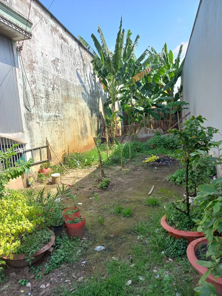 Đất nền mặt tiền đường Tân Quới, Thanh Bình, Đồng Tháp 85m² - Khu vực mua bán sầm uất!