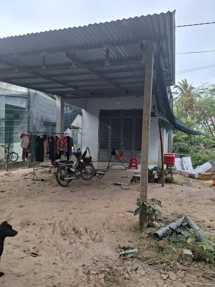 Đất nền Phước Vinh Châu Thành Tây Ninh 371m² chỉ 290 triệu - Cơ hội đầu tư hấp dẫn!