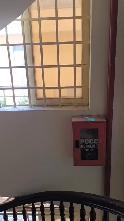 Cho thuê phòng căn hộ dịch vụ Tân Bình 20m² giá chỉ từ 3.2 triệu - Thoáng mát, tiện nghi đầy đủ!