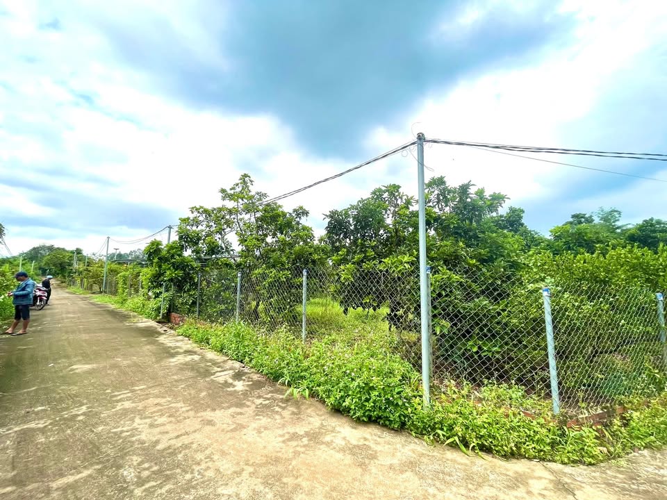 Farm Dầu Giây 5.600m² giá 5.6 tỷ - Đầu tư nghỉ dưỡng tuyệt vời!