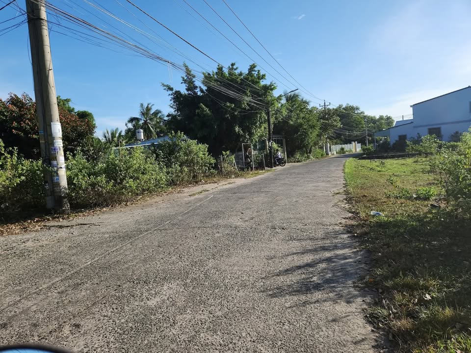 Đất nền mặt tiền Cây Thông Trong, Phú Quốc 550m² giá 2 tỷ - Cơ hội đầu tư không thể bỏ qua!