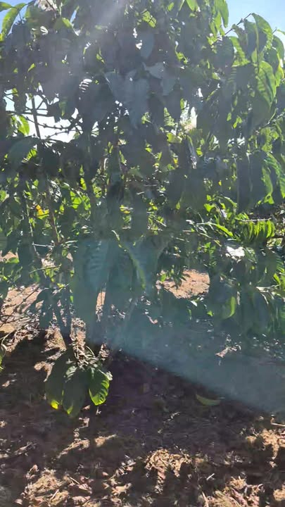 Đất thổ cư Lâm Hà 1600m² giá 950 triệu - Khu vực yên tĩnh, tiềm năng lớn!