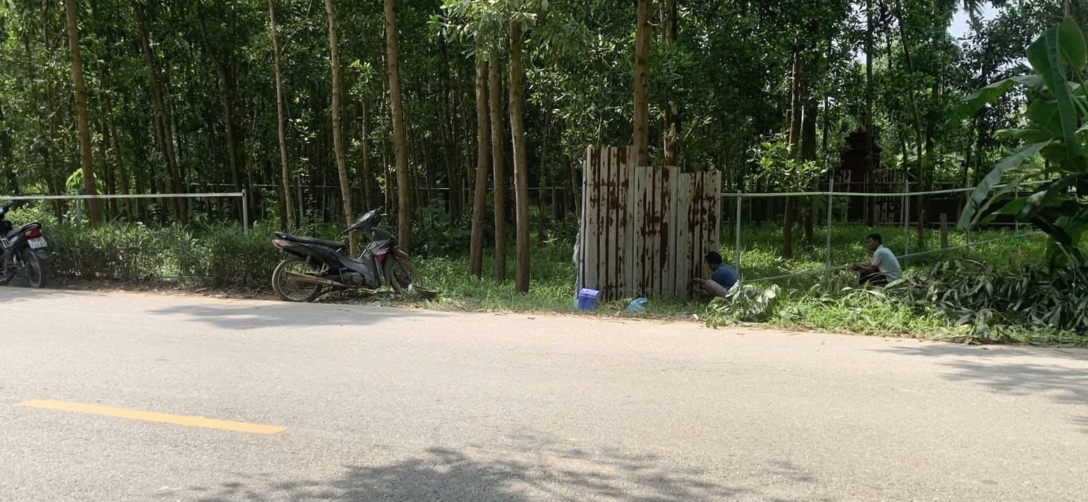 Đất nông nghiệp 550m² tại Tân Xã - Gần hồ, mặt đường 419, giá thỏa thuận!