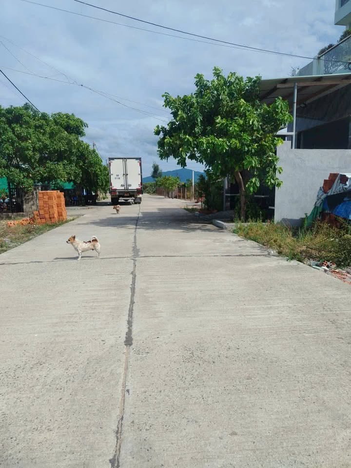 Đất nền chính chủ khu phố Phú Thọ 3, Hòa Hiệp, 120m² - Tiềm năng đầu tư lớn!