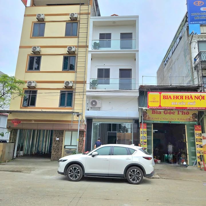 Nhà Băng 1 Tổ 5, Quang Minh, Mê Linh 64m² giá 10 tỷ - KD Sầm Uất!