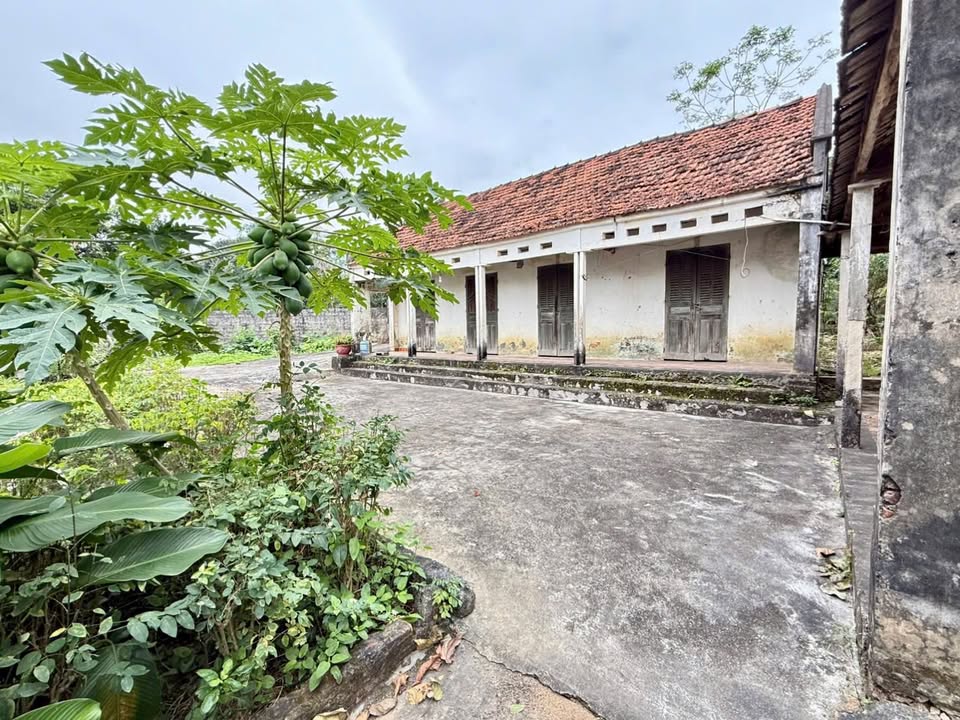 Đất nền thôn 8 Ba Trại Ba Vì 2200m² giá 4.4 tỷ - Sổ đỏ chính chủ, pháp lý rõ ràng!