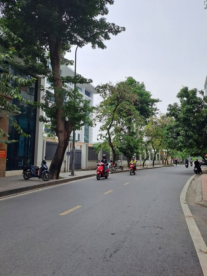 Nhà mặt phố Trần Quang Diệu, Đống Đa 95m² giá thỏa thuận - Đầu tư sinh lời hấp dẫn!