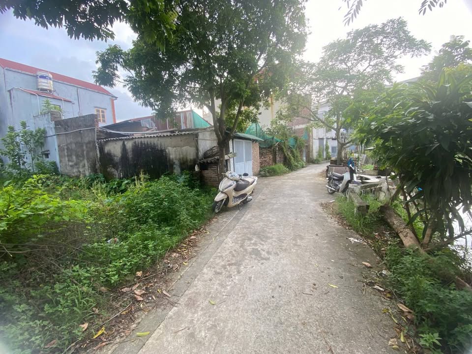 Đất nền Tiên Dược Sóc Sơn 93m² giá 3 tỷ - Đầu tư sinh lời ngay!