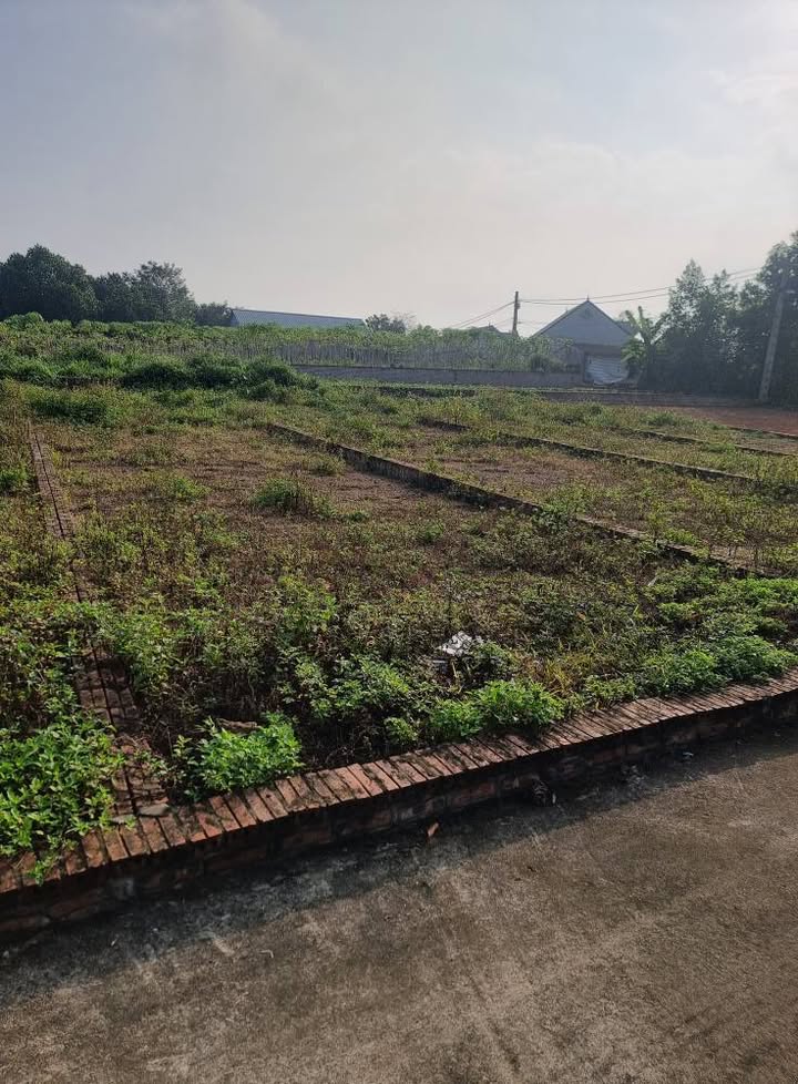 Lô đất Cẩm Lĩnh, Ba Vì 124,4m² giá 899 triệu - Đường container vào tận nơi!