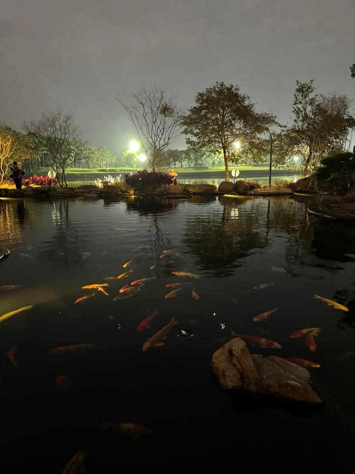 Căn hộ chung cư Công an HN tại Văn Quán, Hà Đông - 60m² giá 5 tỷ - Sổ đỏ chính chủ