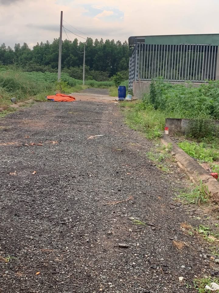 Đất nền Phú Mỹ, HCM 520m² giá 1.45 tỷ - Đầu tư sinh lời lý tưởng!