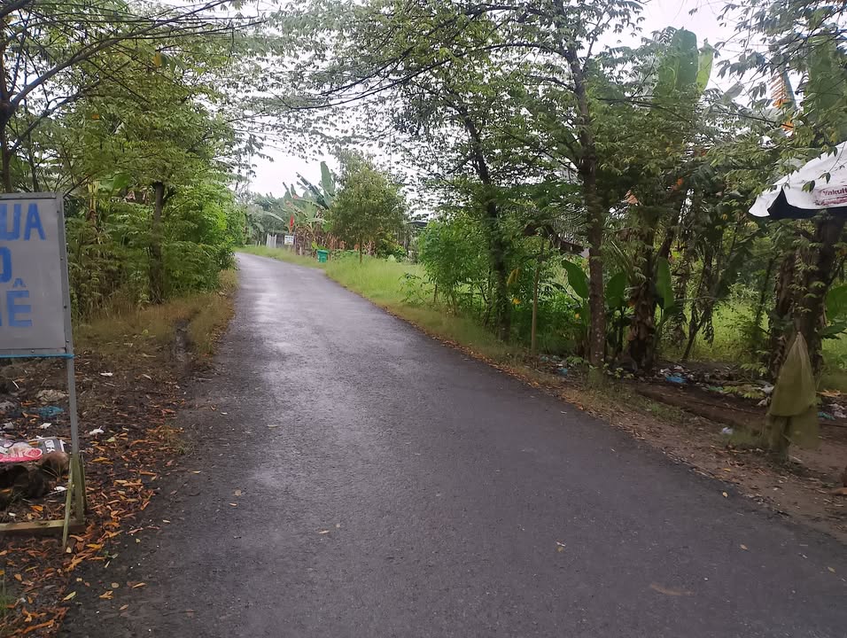 Đất nền 2 mặt tiền đường Trường Long Vàm Bi 711m² giá 2.133 tỷ - Đầu tư sinh lời ngay!