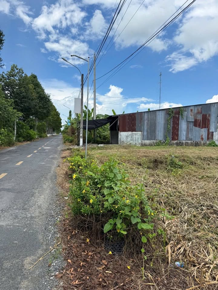 Đất mặt tiền lộ nhựa 6m tại Thới Tân - Thích hợp kinh doanh và nghỉ dưỡng!