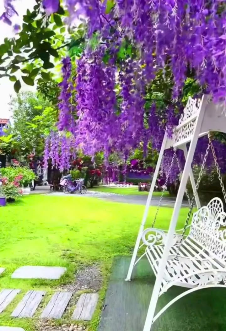 Đất nền Cái Răng 1339m² giá 8.034 tỷ - Mặt tiền đường Chí Sinh, đầu tư lý tưởng!