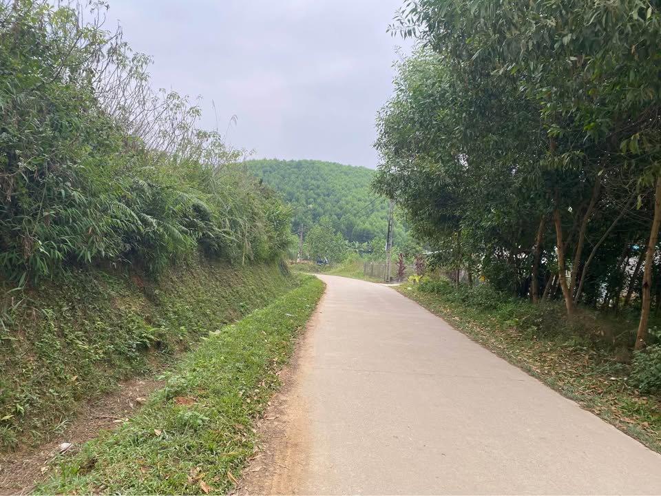 Đất Kim Phú Tuyên Quang 600m² giá 2 tỷ - Nhà 2 tầng sẵn ở ngay!