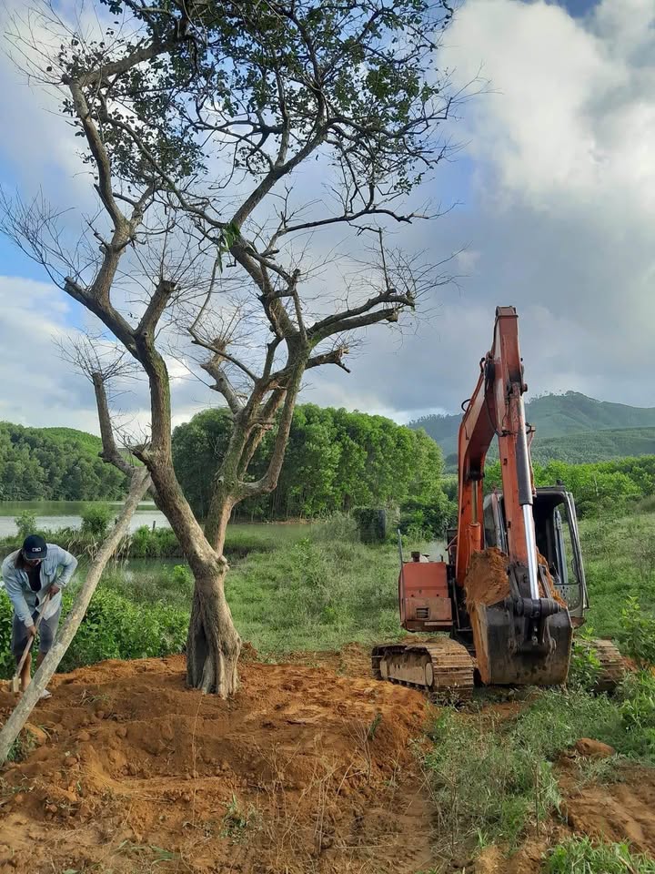 Bán đất mặt tiền đường Bình Thành, 5.931m² giá 11.86 tỷ - Tiềm năng đầu tư sinh lời cực cao!