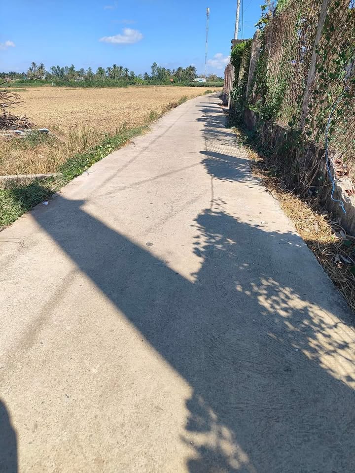 Đất nền 2 mặt tiền tại ấp Lợi An, Gò Công Tây 715m² giá 700 triệu - Đầu tư sinh lời ngay!