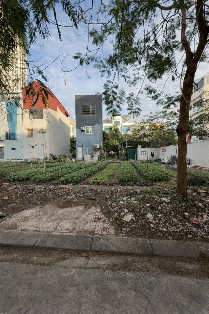 Đất nền 80m² tại Phạm Ngũ Lão, Võ Cường, Bắc Ninh - Vị trí đắc địa, giá tốt!