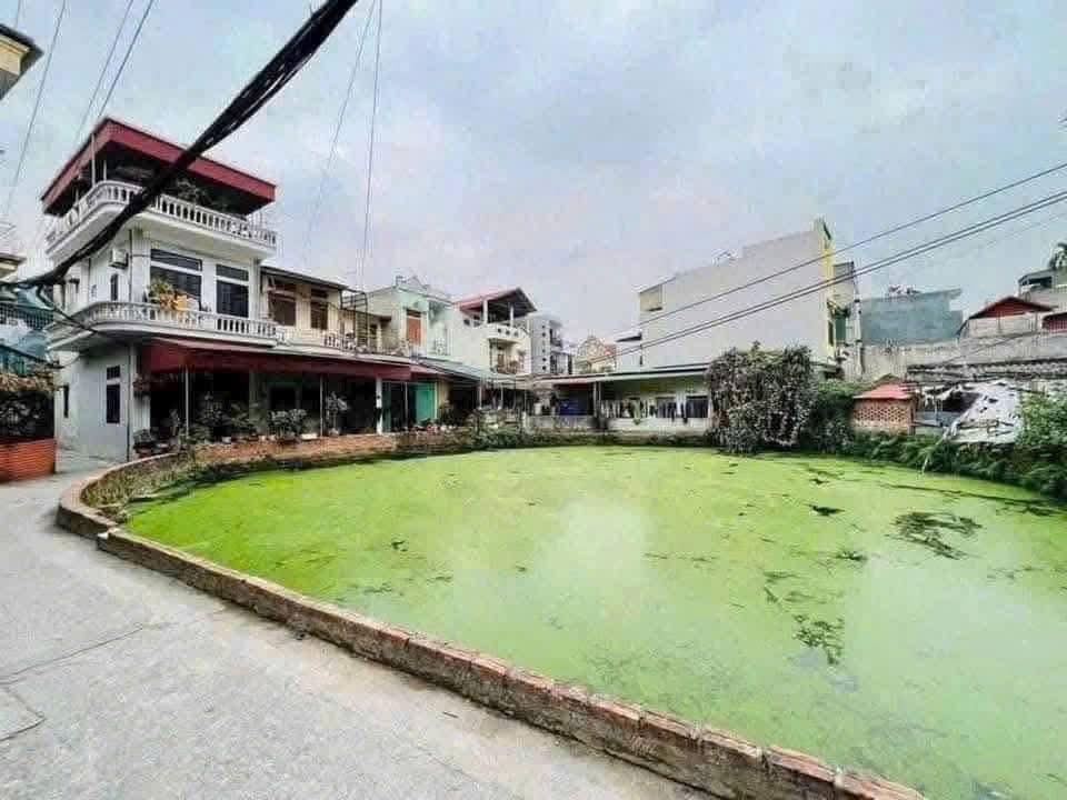 Nhà cấp 4 ngõ 48 Nguyễn Thượng Mẫn 43.5m² giá 1.28 tỷ - Nhà đẹp, tiện ích đầy đủ!