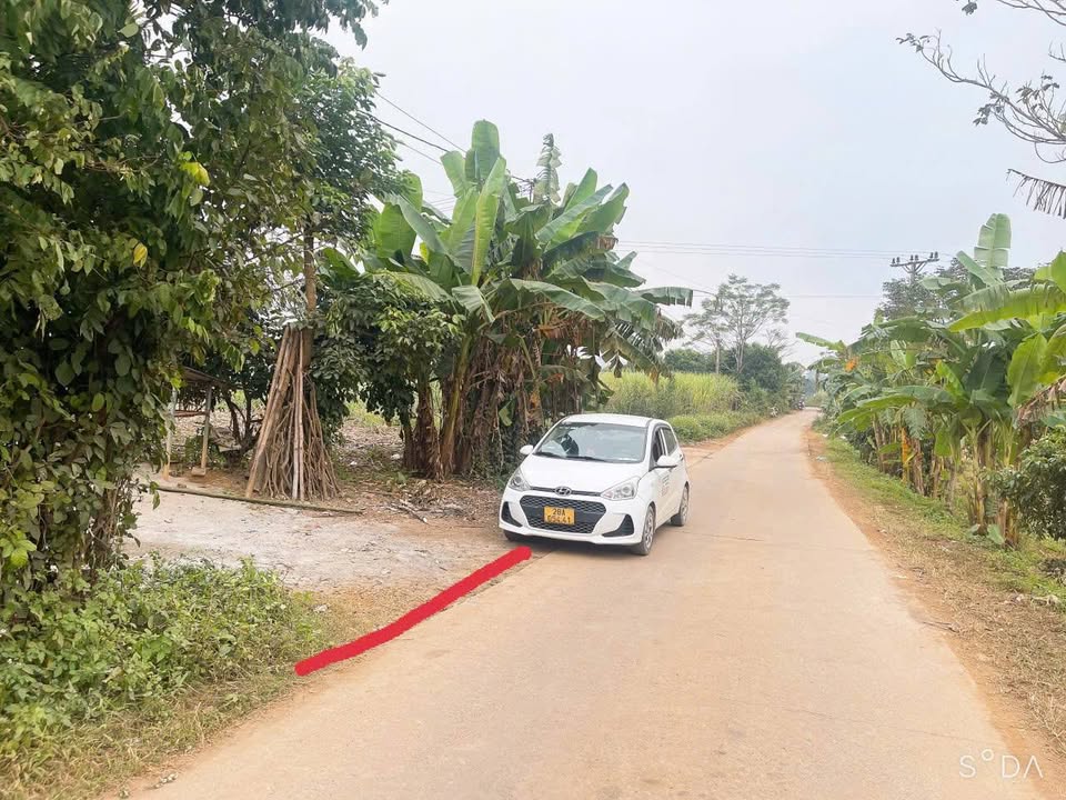 Đất nền Mỹ Hòa Tân Lạc 352m² giá 500 triệu - Đầu tư sinh lời hấp dẫn!