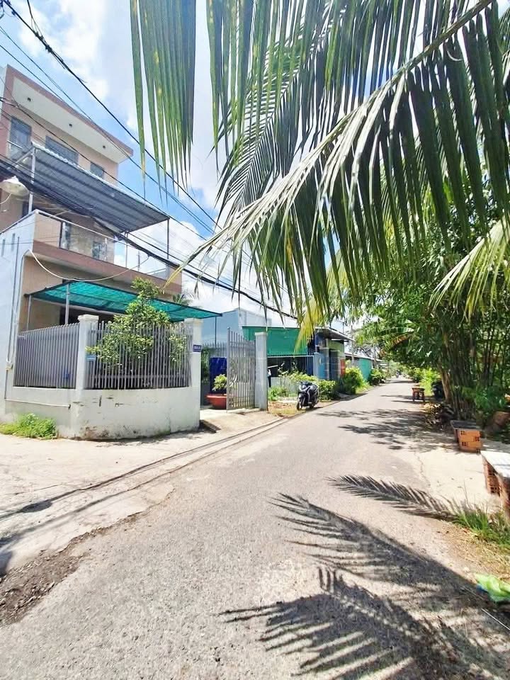 Đất nền mặt tiền đường Nguyễn Thị Tạo, Cần Thơ 145m² giá 2.45 tỷ - Vị trí đẹp, thuận tiện đi lại!