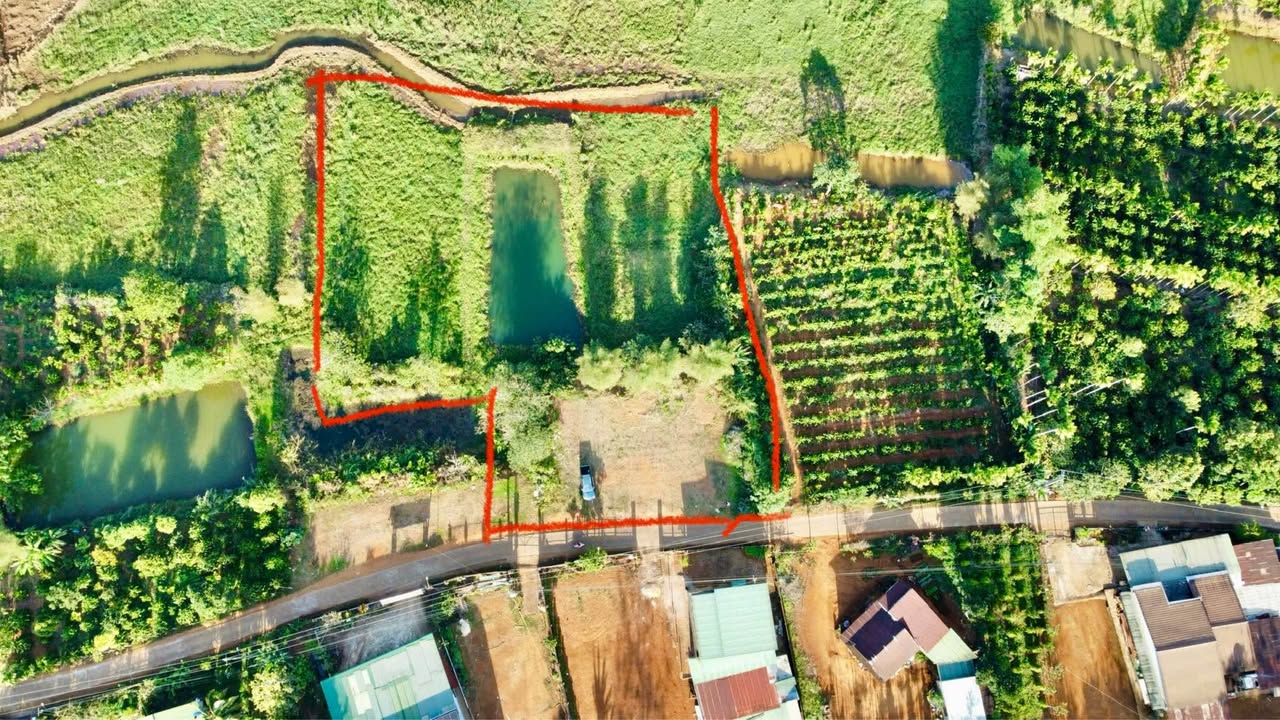 Đất nền Quảng Tân 4000m² giá 1.1 tỷ - Cơ hội đầu tư tuyệt vời!