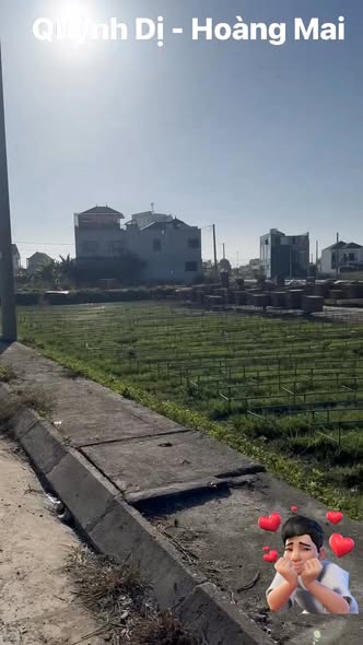 Đất đấu giá Quỳnh Dị Hoàng Mai 186,9m² giá 3 tỷ - Đầu tư sinh lời ngay!