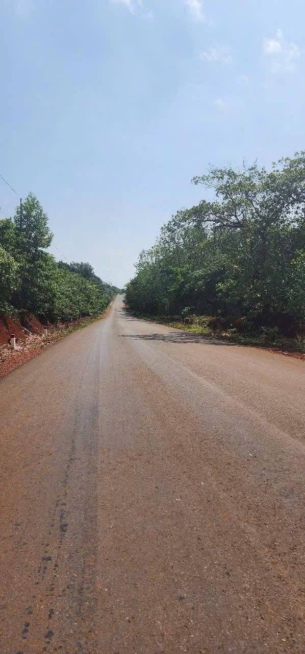 Đất nền 1,4 ha tại Tân Phước, Đồng Phú - Mặt tiền nhựa, thích hợp làm kho xưởng!