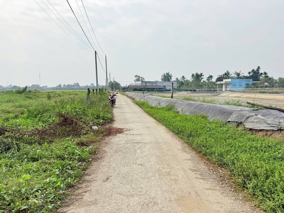 Đất nền ấp 1, xã Lạc Tấn, Tân Trụ 60m² chỉ 250 triệu - Sổ hồng riêng, cơ hội đầu tư tuyệt vời!