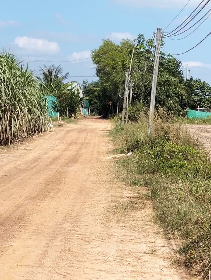 Đất thổ cư 100m² tại Nam Bến Sỏi, Tây Ninh - Giá chỉ 650 triệu