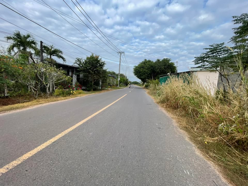 Nhà cấp 4 Gò Dầu 266.5m² giá 1.5 tỷ - Thổ cư 100% sẵn sàng giao dịch!