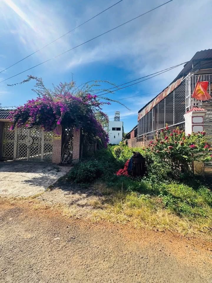 Đất nền hẻm chính Lạc Long Quân, An Phú, 140m² giá 1.39 tỷ - Đầu tư sinh lời lý tưởng!