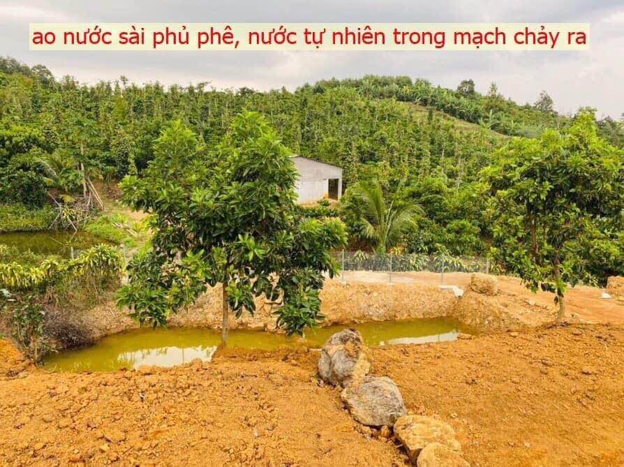 Đất nghỉ dưỡng Lộc Thành Bảo Lâm 1500m² giá 2.15 tỷ - Đầu tư sinh lời ngay!