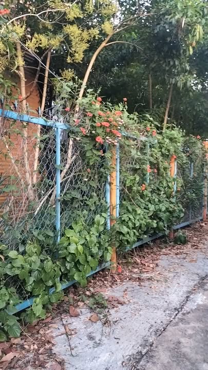 Cho thuê homestay mini tại Đông Thanh, Lâm Hà 1500m² - Khu nghỉ dưỡng lý tưởng!