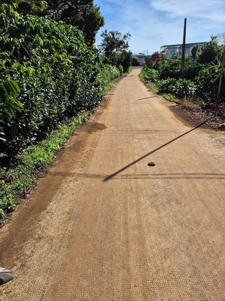 Đất Tân Hà Lâm Hà 3000m² giá 1.3 tỷ - Mặt tiền đường bê tông 40m!