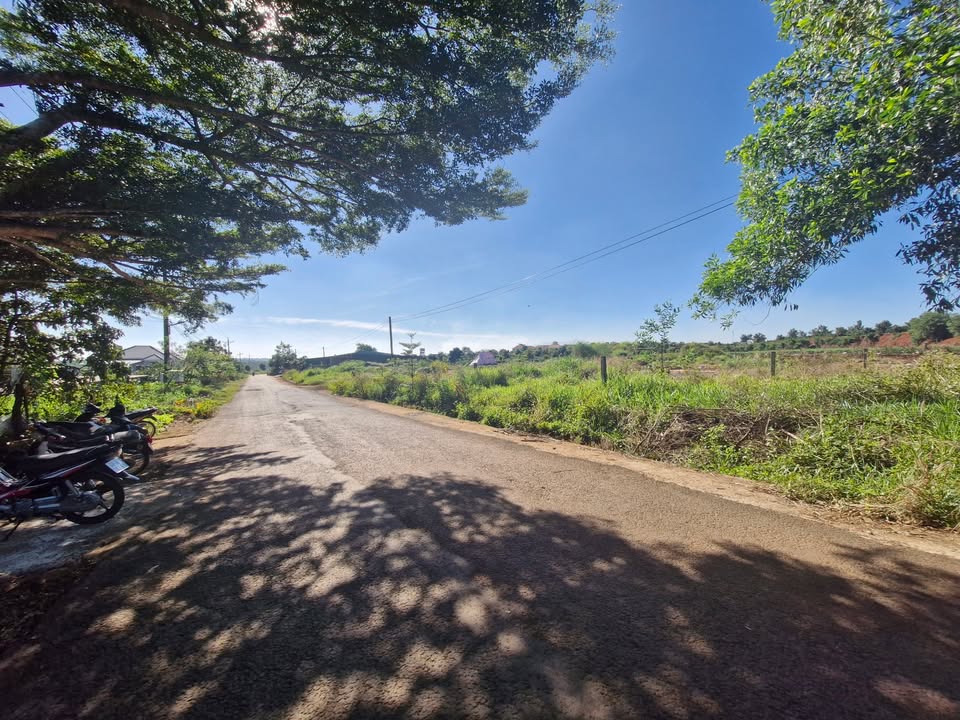 Bán đất mặt đường Tân Hà Lâm Hà 3100m² giá 8 tỷ - Đầu tư sinh lời ngay!