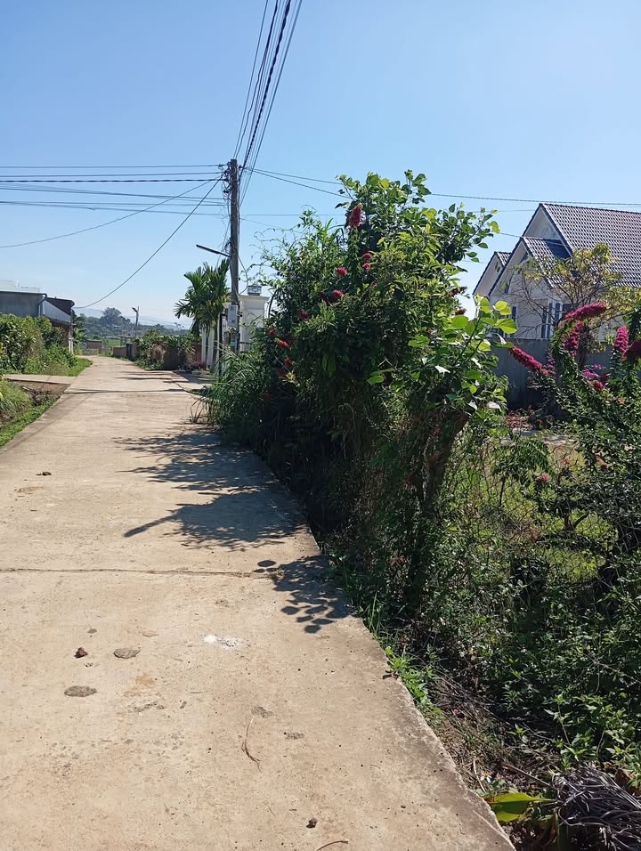 Đất nền Tân Văn Lâm Hà 350m² giá 590 triệu - Cơ hội đầu tư hấp dẫn!