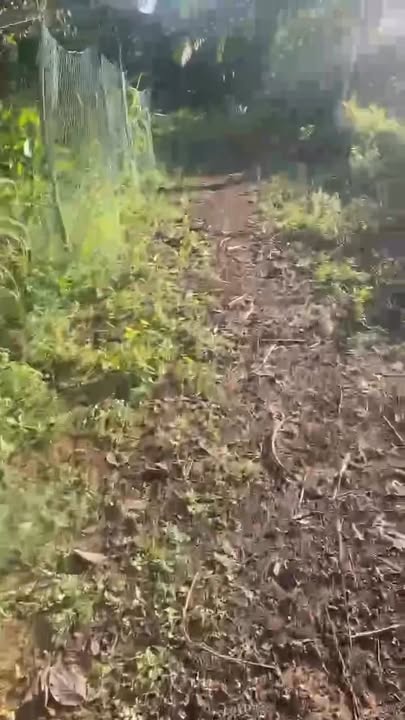 Đất nền Hoài Nhơn 2154m² giá chỉ 1 tỷ - Cơ hội đầu tư tuyệt vời!