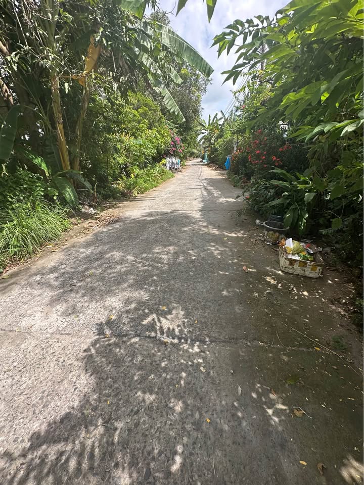 Đất nền đường Đinh Công Tráng, An Hoà, 150m², giá 2.25 tỷ - View sông thoáng đãng!