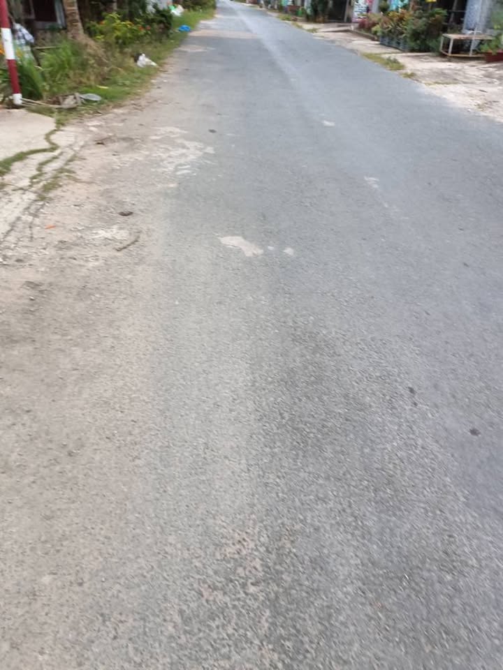 Đất ruộng 1.250m² tại Bình Thanh, Đồng Tháp - Giá tốt cho nhà đầu tư!