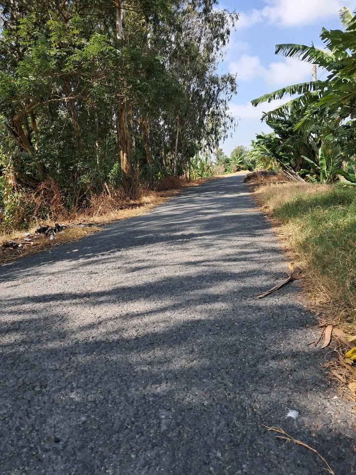 Đất nông nghiệp 5.200m² tại xã Thanh Bình - Tiềm năng đầu tư lớn!