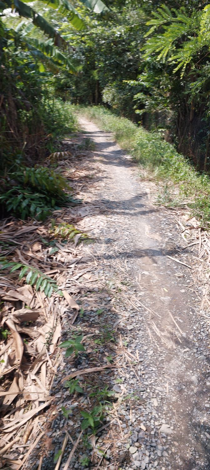 Đất nền phường Mỹ Trà, Cao Lãnh 2300m² giá chỉ 680 triệu - Tiềm năng phát triển cao!