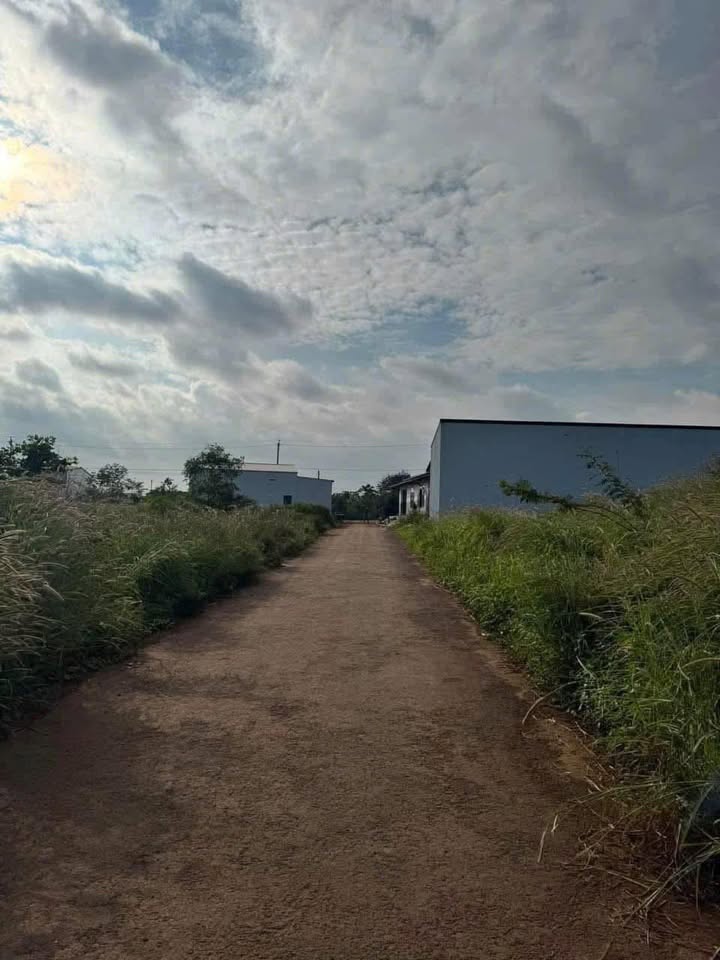 Đất nền chính chủ tại xã Ea Drông, Buôn Hồ 126m² - Tiềm năng tăng giá cao!